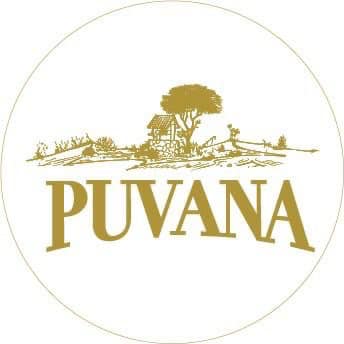 PAVANA logo engrave