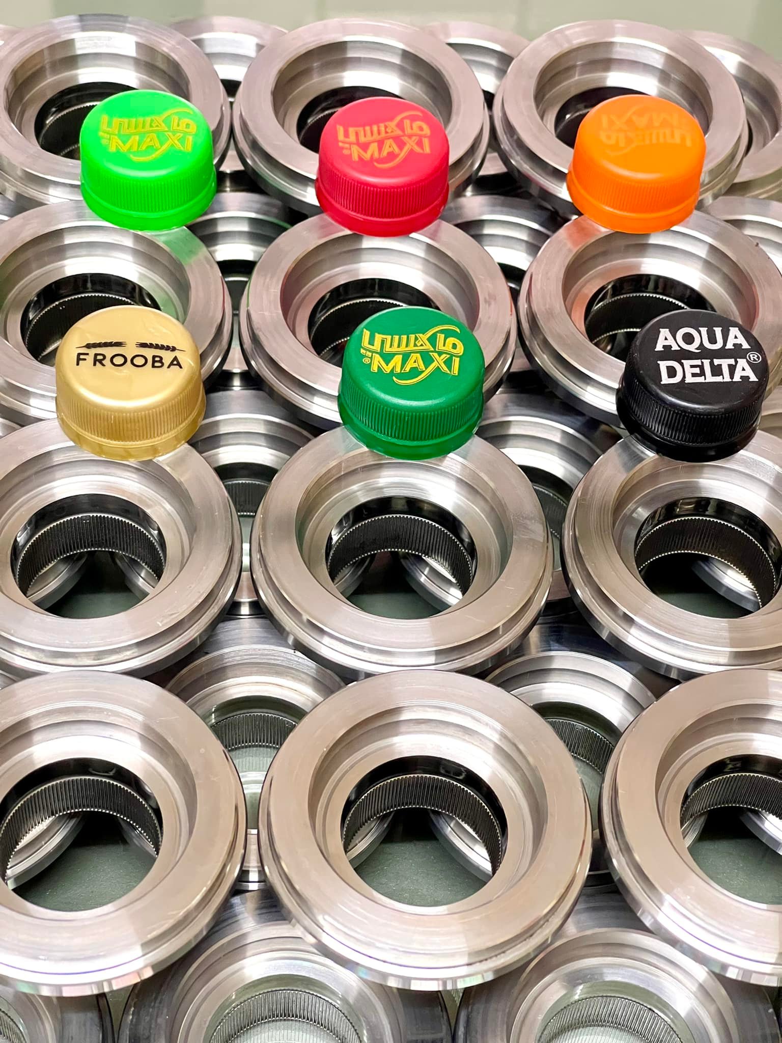 cavity mlod & insert mold