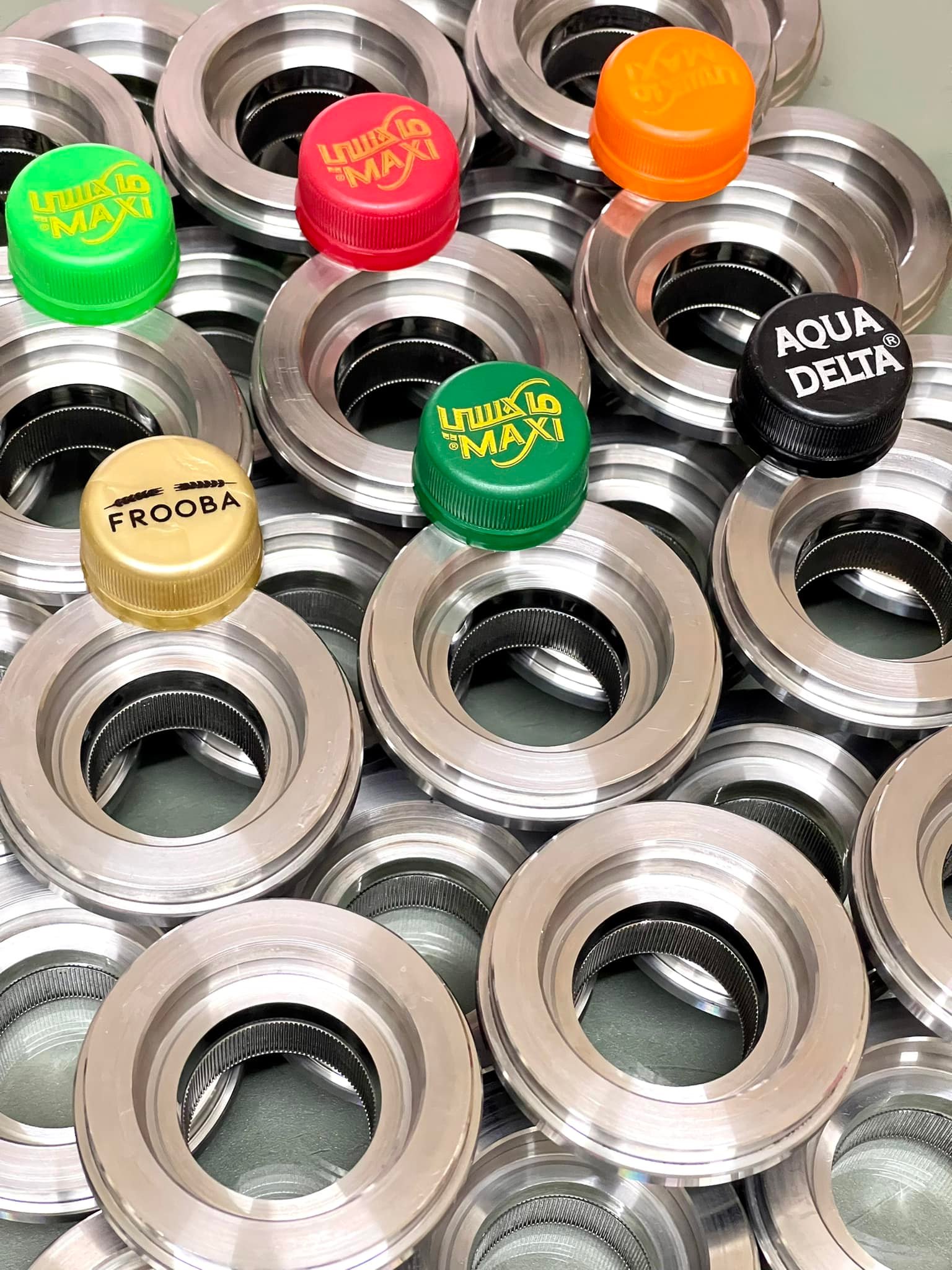 cavity mlod & insert mold