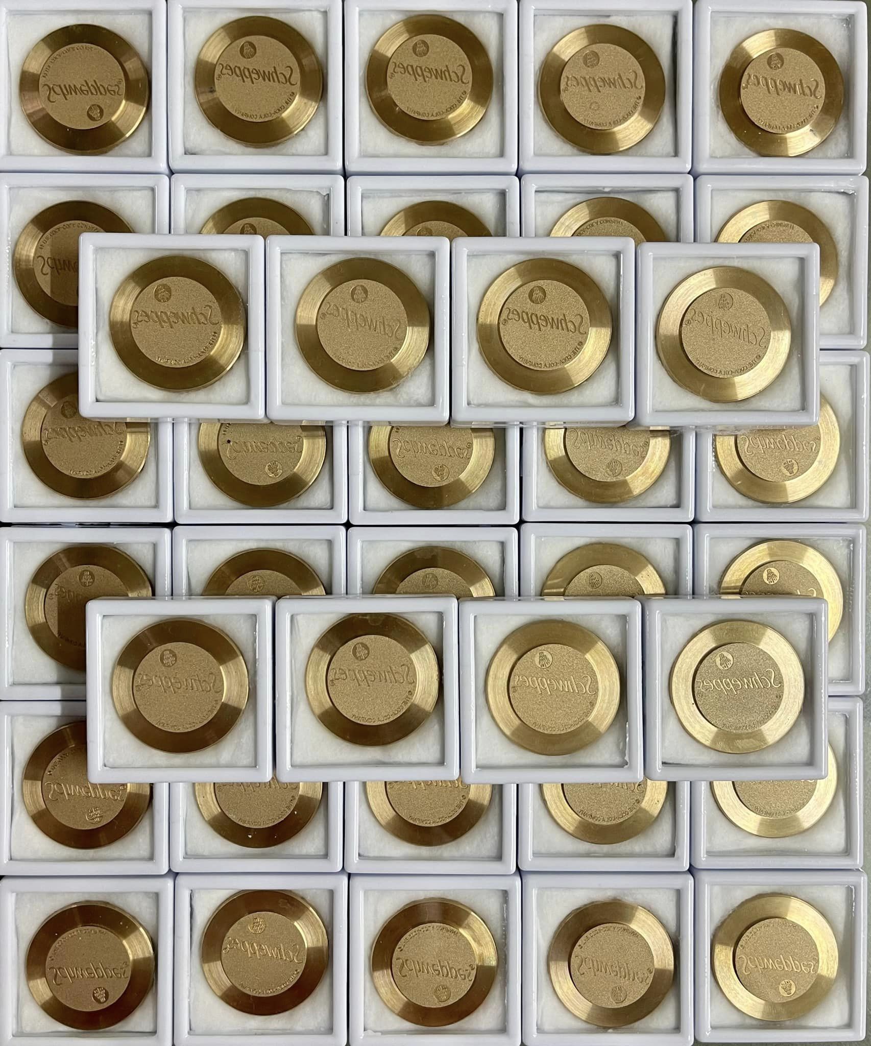 insert logo Schweppes 